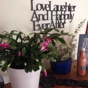 Meet your Posher, Eddy jean